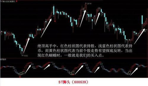 （三）以现场实践为检验， 以观察考察为深化