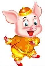 猪年生肖猪运势如何，命运走向怎样？