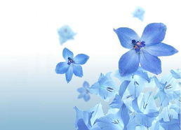 2.1 五行缺土还是缺金？你的相册五行属性是什么？