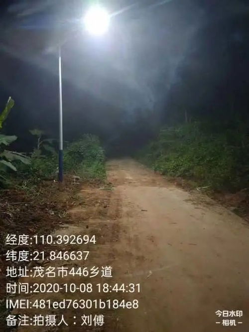 一、 探究背景与问题提出