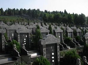 从商贾崛起至丧葬奢靡：财富积累与消费升级