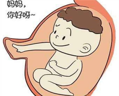名字与性格：灵魂般的呼应