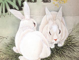 属兔人的事业和性格特点，以及哪个月份最适合他们的事业发展？