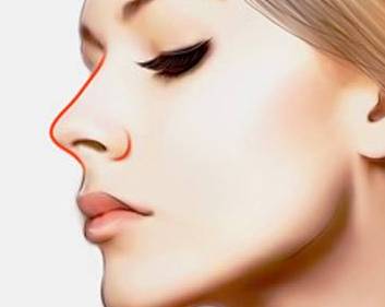 一、 蒜头鼻面相学概论与财运总纲