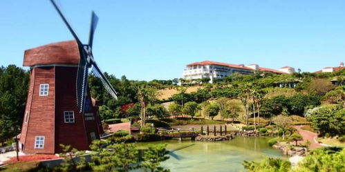 3. 必打卡景点？随便啦！（但别真的随便）