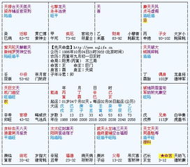 如何通过享利贞八字排盘进行详细且准确的命理预测？