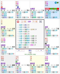 紫微斗数新浪排盘与占星软件排盘结果差异大，准确性如何？