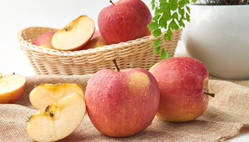 2.1 生肖兔：肝火旺盛者的顾虑