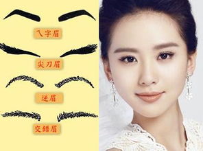 三、 眉形稠密挺拔对学习毅力的指示