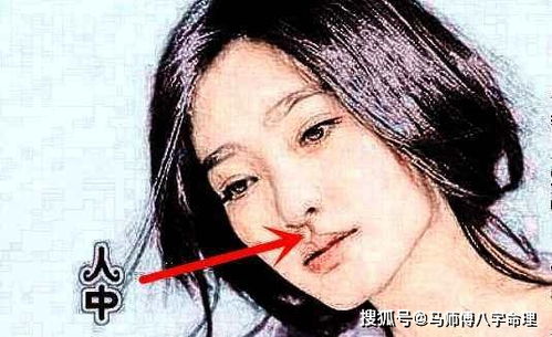 鼻部：才华横溢与事业心