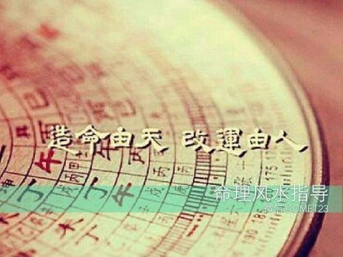 综合化解策略