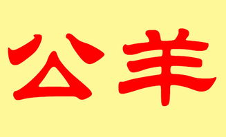 经典且寓意美好的公羊姓女宝宝名字推荐（保证不撞名）