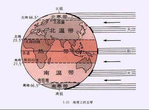 风水布局与大脑功能：环境因素对认知的影响