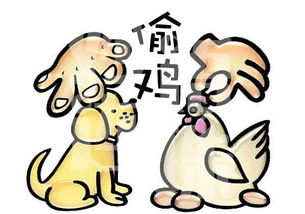 请问有哪些寓意吉祥的成语中包含鸡字？