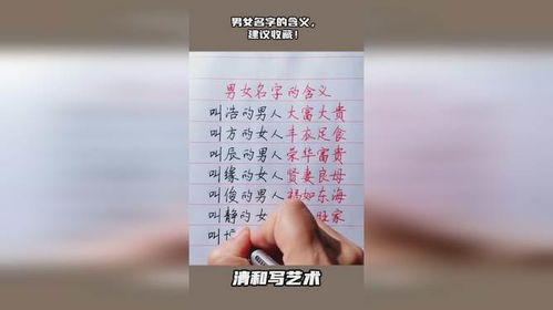 第六节：情绪化决策vs理性解析