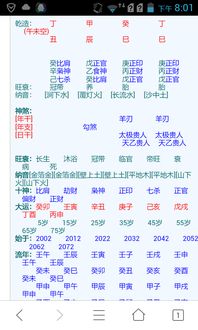 这个八字婚姻财运如何，能否详细分析其运势走向？