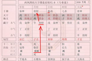 羊刃格女命在伤官大运期间，婚姻和事业会有哪些显著变化呢？