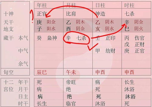 官杀与印星、 食伤的调和机制