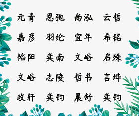 叶姓男孩名字取意“叶落归根，护佑成长”，寓意生动解读