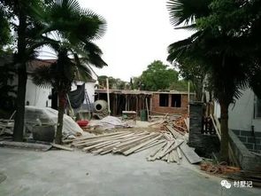 实用主义万岁！海南人就是这么实在