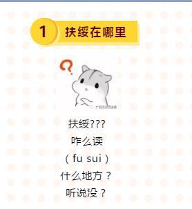 四、 随机碎碎念（噪声）