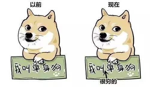 三、单身狗の西瓜危机