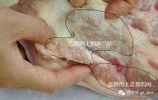 梦见小男孩在自己身上排泄，这梦境有何特殊含义？