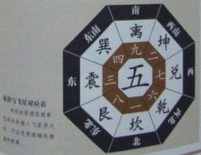 一、  核心理论体系的构建与经典著作研读