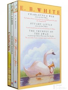 风水文化的启蒙：《风水故事》改编版的文化普及意义