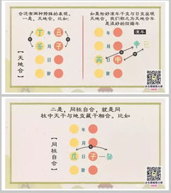 八字合解冲中，哪些组合属于八字合与冲？