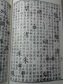 ：皇室家族结构的历史持续发展意义