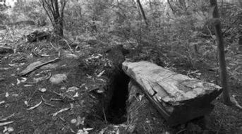 风水与国学视角下的象征解读