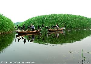 那个啥文化苑也是无聊透顶