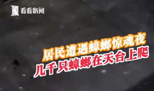 一、 星象风水视角下的“邪恶力量”：阴阳调和与能量失衡