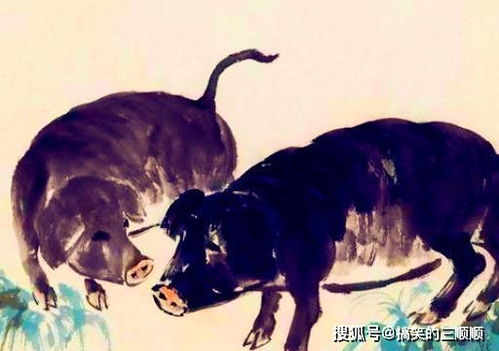 属龙：掌控风云，蓄势待发