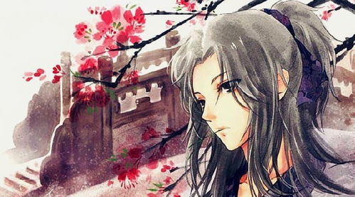 琴字最牛掰的三个名儿