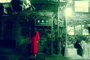 阴影笼罩下的孤儿院：初始调查