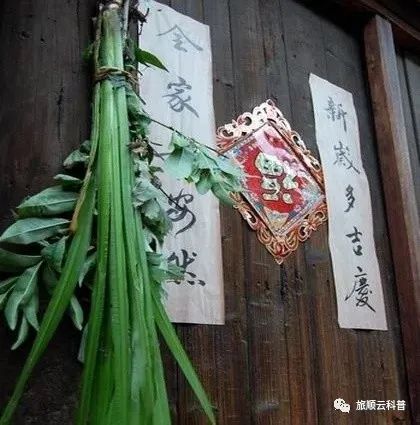 C. 挂艾草菖蒲意义探究