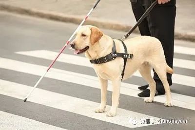 二、 心理学层面的解读