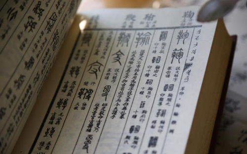 前言——别把名字当成论文