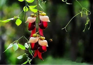 惯与门票：我的心在滴血