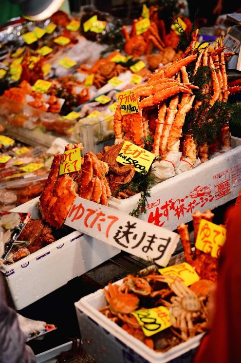 开头：游客的困境与惊喜