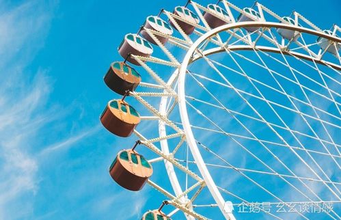 二、 职场与学业领域之具体影响及操作建议