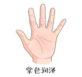 5. 暗黄色或黄褐色调