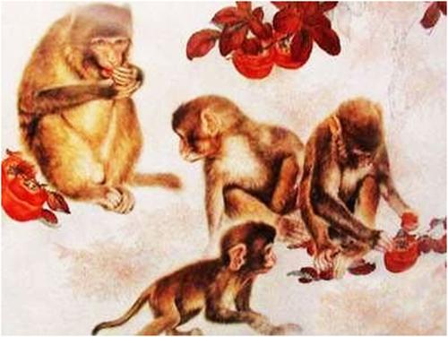 1993年属鸡男与属虎女性格相合，属猴女宝宝与虎男宝宝性格相合吗？