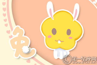 生肖兔：温柔善良与社交本嫩的自然流露