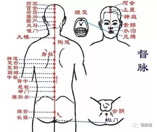 经络养生有没有受黄历作用于？
