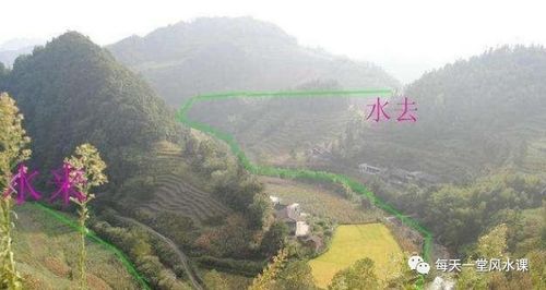 11 & 12.  龍蛇走馬/走失局