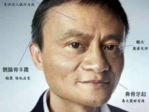 皮肤纹理与星座特质：急躁性格的双重印证