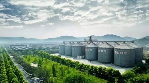 十大著名景点排名（随意排序）
